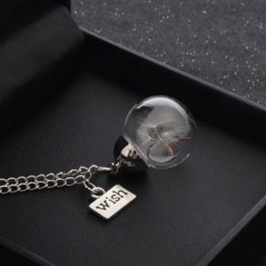 wish bottle necklace , keep your beautiful dream with you